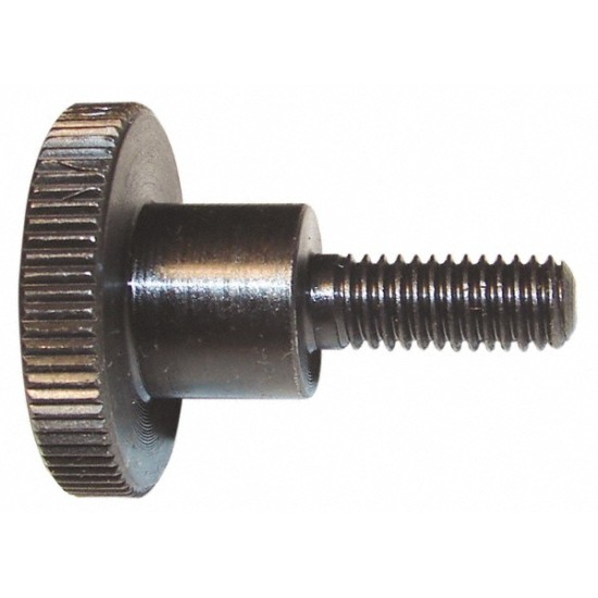 Knurled Head SUS Screw m6 X 20