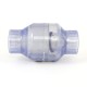 THREAD SPEARS S1520C10F, PVC CLEAR UTILITY SWING CHECK VALVE (EPDM) (FIPT), 1" 