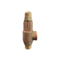 In ,Male1/2" BSPT x Out Female 1/2" BSPT , Water , Safety Relief Valve Bronze with lever 150 PSI