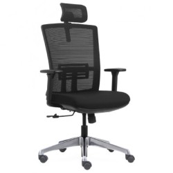 Chrome Leg ,Mesh Back Chair ,Chair Height: 1135-1225 ,Seat Height: 440-530