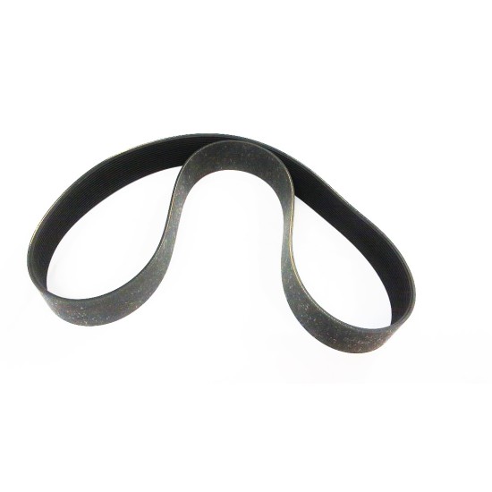PAXTON TIMING BELT FOR AT-1200 ,44" 8001491