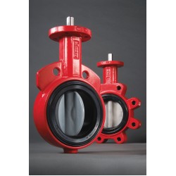 S20= 150PSI, DN25, 1" BRAY RESILIENT SEATED BUTTERFLY VALVE