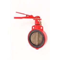 S20= 150PSI, DN25, 1" BRAY RESILIENT SEATED BUTTERFLY VALVE