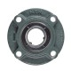 Japan ,50mm Round Flange Bearing ,Screw hole center to center 97.6mm