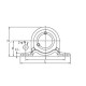 UCP BEARING 25MM ,PP 205