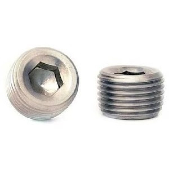 1/2" NPT SUS SCREW PLUG ,25pcs/box