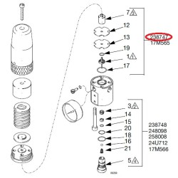238-747, Fluid Diaphragm Kit 