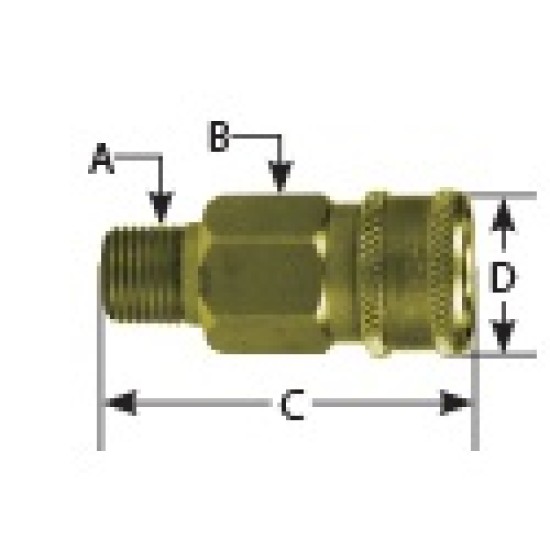 Hofmann ,1/8" male Thread Brass MNPT series M, Coupling Fitting ,10pcs/pkt