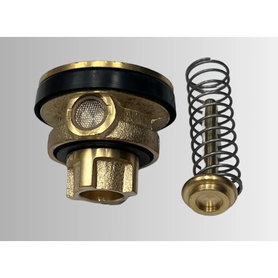 Johnson Suisse Piston set only, For Model WBFT400454CP