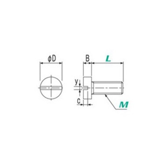 PFA Slotted Flat Small Screw ,M6  X20, 100pcs/pkt