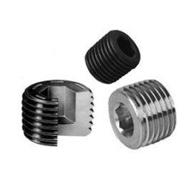  3/8" BSPT 19G ,PLUG SCREW, Allenkey 