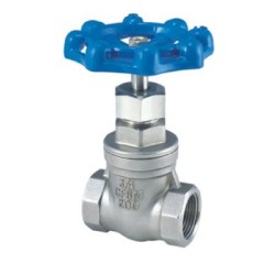 3/4" Stainless Steel 304 Gate Valve 