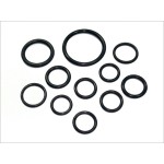 Viton O-Ring