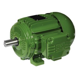 WEG W21, Standard Efficiency Motor (IE1), Cast Iron Frame,  WEG W21, Standard Efficiency Motor (IE1), Cast Iron Frame,