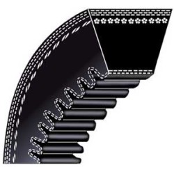 1850 AUTO BELT, XPB