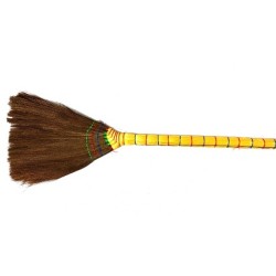 PENYAPU, GOLDEN STRAW BROOM