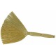 PENYAPU, GOLDEN STRAW BROOM