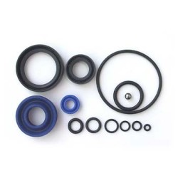 REPAIR HYDRAULITE SEAL SERVICES ,Model: D2500 2.5 Ton Hand Pallet Truck