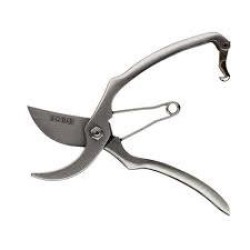Prunung Shears