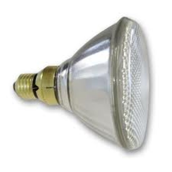 ELEC0009 GE Bulb (for dock light) ,PAR38 150W