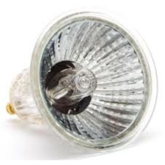 CAFETERIA C-HALOGEN BULB 240V 50W