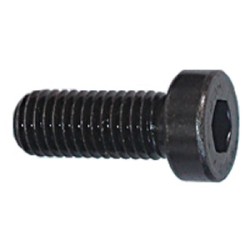 LEAD FOIL SCREW, BLACK 3 X 5