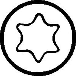 TX20 x 38mm TORX POWER BIT 1/4" HEX